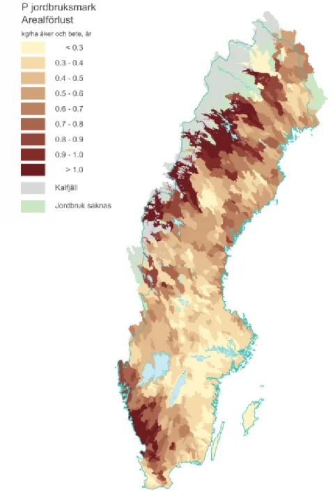 Figur 31. Jordbruksmarkens läckage av fosfor per areal jordbruksmark och betesmark (kg/ha år)