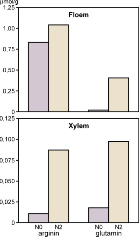 Figur 5.3. Koncentrationer av aminosyrorna arginin och glutamin i xylem och floem i gödslade och  ogöds-lade träd från  Norrliden-experimentet