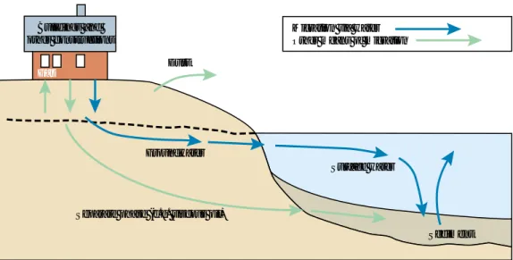 FIGURE 1:  Migration pathways of contaminants in the environment. Each arrow indicates a pathway considered in risk classification.