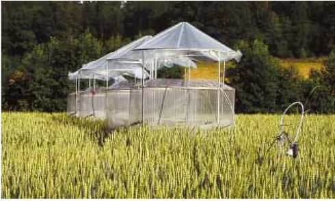 Figure 4.3. Open-top chambers installed in a wheat field on the experimental site at Östads säteri