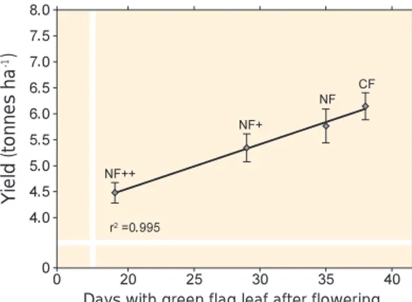 Figure 4.8. Grain yield of wheat plotted against flag leaf longevity for the different ozone treatments (CF = charcoal-filtered air with low ozone  concentra-tions; NF = non-filtered air with roughly ambient ozone concentrations; NF+, NF++ = non-filtered a