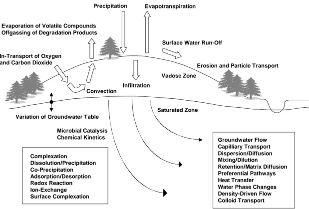 Figure 1 Conceptual diagram, illustrating processes that may be of importance in groundwater contamination problems (adapted from Höglund, 1994)
