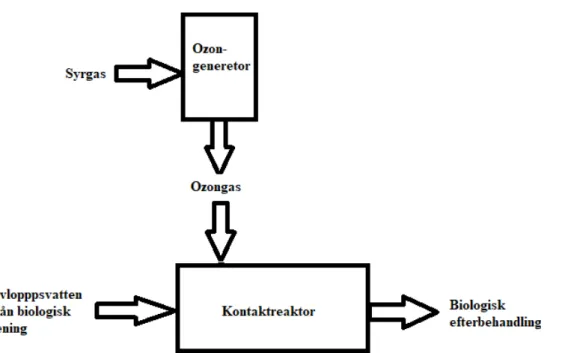 Figur 3. Denna figur illustrerar översiktligt hur en ozonanläggning på ett avloppsreningsverk ser ut  baserat på beskrivningen ovan om ozonering