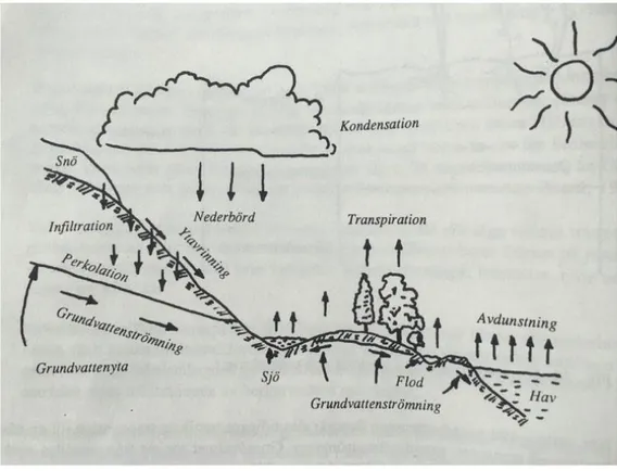 Figur 13. Hydrologiska cykeln Från: Vatten jord och berg (Knutsson &amp; Morfeldt, 1978)