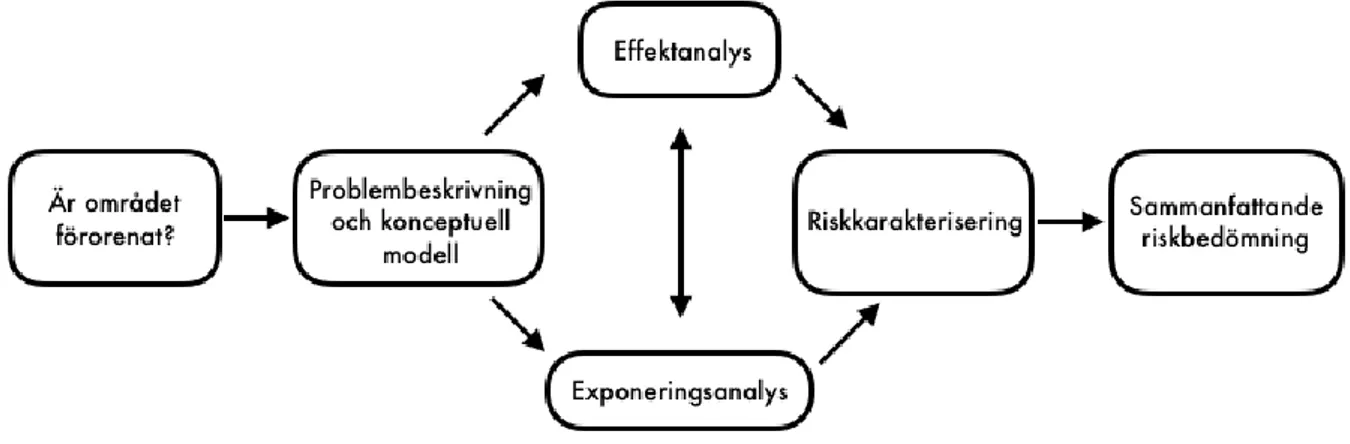 Figur 4. Figur som illustrerar de olika stegen i en riskbedömningsprocess (Figur 3.3, s