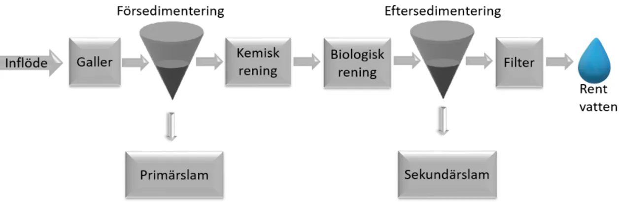 Figur 2.1: Schematisk bild över generell vattenrening. Författarens egen bild. Ofta inleds avloppsvattenreningsprocessen med mekanisk rening som framförallt  ren-sar bort större partiklar och skräp som hamnat i avloppet