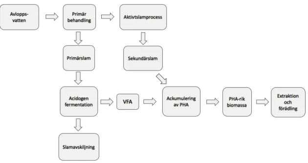 Figur 3.2: Process-schema för produktion av PHA på Ryaverket. Författarens egen bild.
