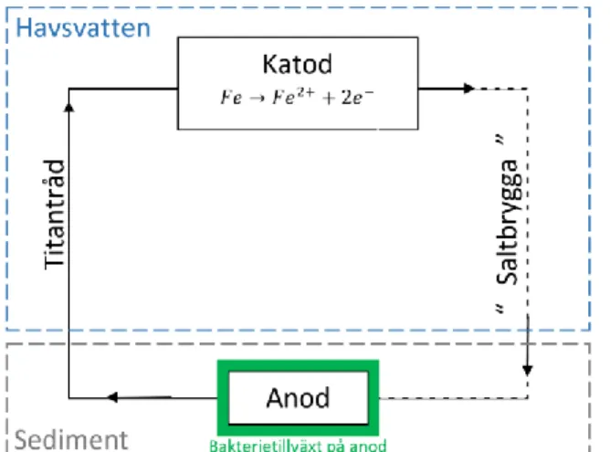 Figur 1: Schematisk översikt över projektets mikrobiella elektrokemiska system, sett  från sidan