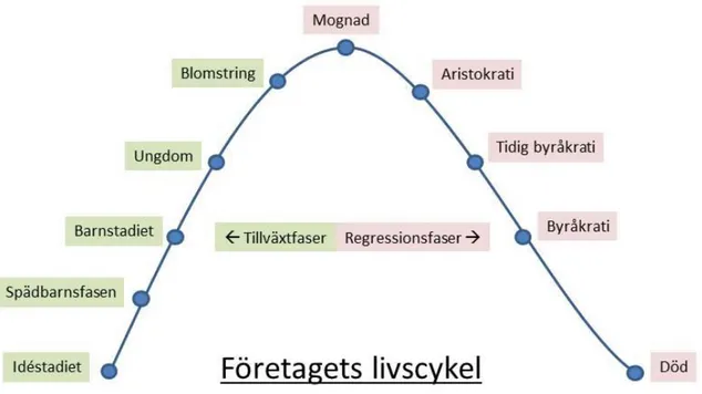 Figur 3:2 Företagets livscykel med tillväxt- och regressionsfaser. Återskapad modell utifrån Ichak Adizes modell och teori  (Adizes, 1989)