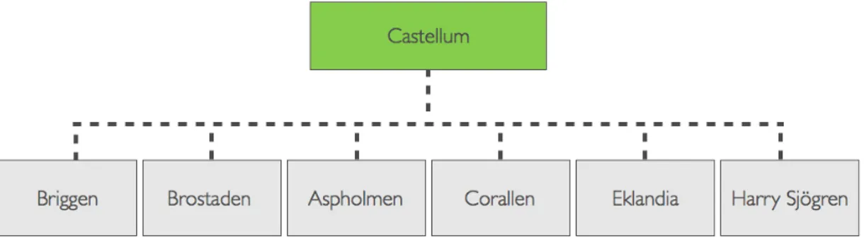 Figur 8. Castellumkoncernen 