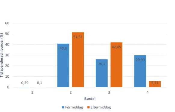 Figur 3. De 13 katternas fördelning av observationstiden uppdelat på förmiddag och eftermiddag samt 