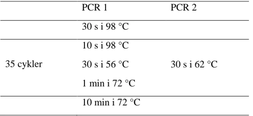 Tabell 3. Termoprotokoll för PCR  PCR 1  PCR 2  30 s i 98 °C  35 cykler  10 s i 98 °C  30 s i 56 °C  30 s i 62 °C  1 min i 72 °C  10 min i 72 °C 