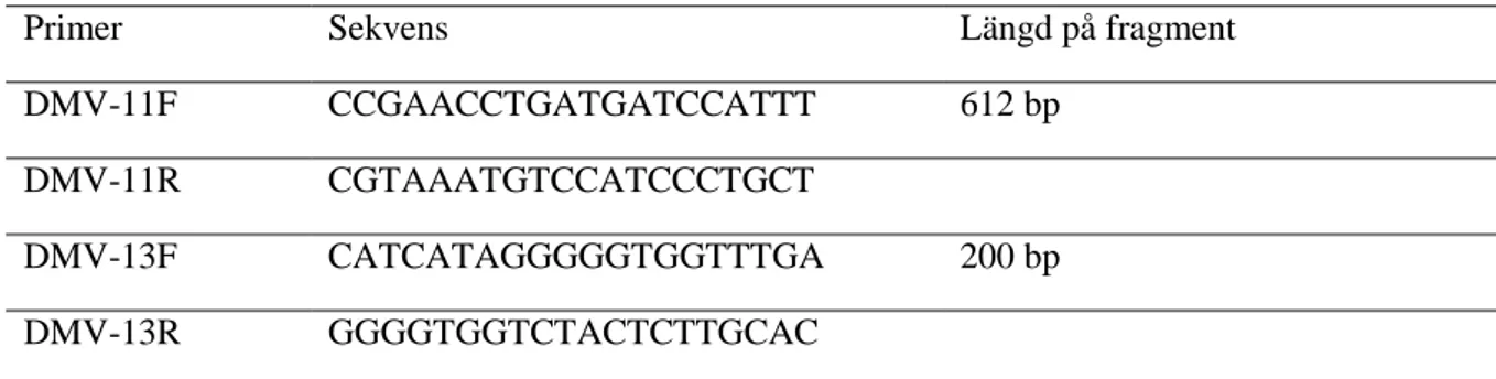 Tabell 5. Primersekvenser för PCR 