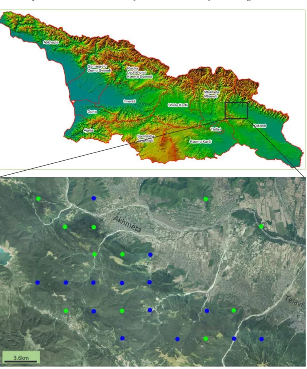 Figure  1: Map of the study sites around Akhmeta  and Telavi, Kakheti. Green the clusters with signs of  degradation and blue clusters without degradation