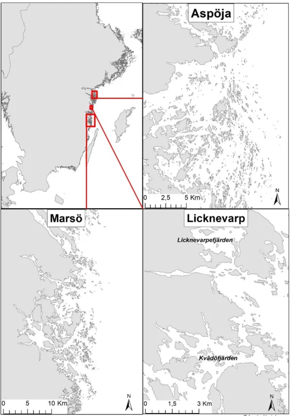 Fig. 4. The three areas along the Swedish coast in the Baltic Sea. 