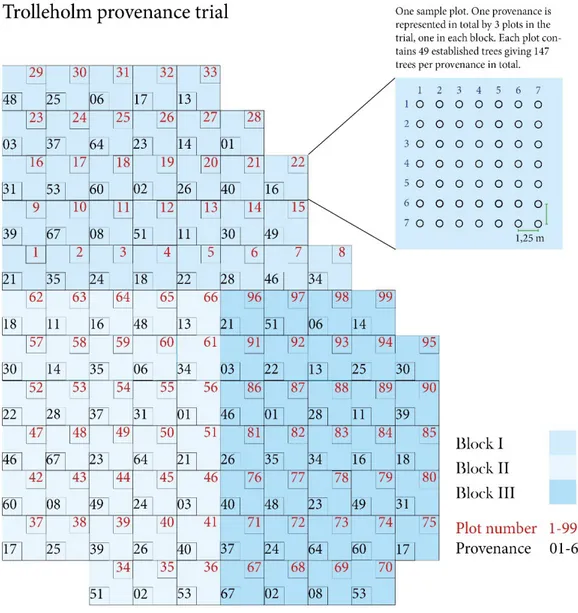 Figure 2. An overview of the trial site area. 