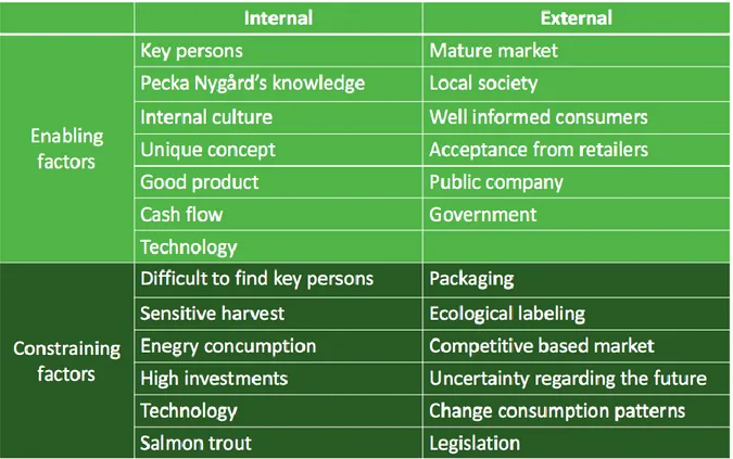 Table 3. Conceptual factors influencing Peckas Tomater. (Own processing). 