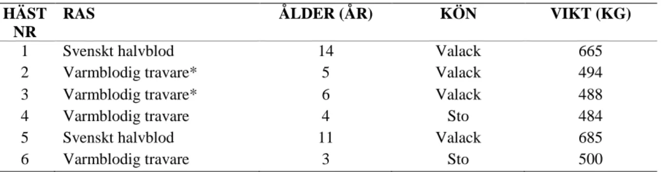 Tabell 1. Information om ålder, ras, kön respektive vikt på de hästar som ingick i studien  