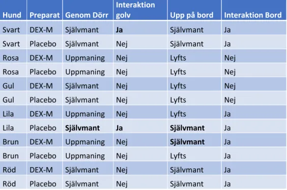 Tabell  4.  Hur  hundarna  har  interagerat.  Texten  är  i  fetstil  där  beteende  har  skiljts  sig  mellan 