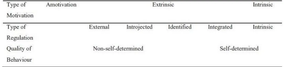Figure 2 Self-determination theory continuum of motivational, regulation, and behaviour types