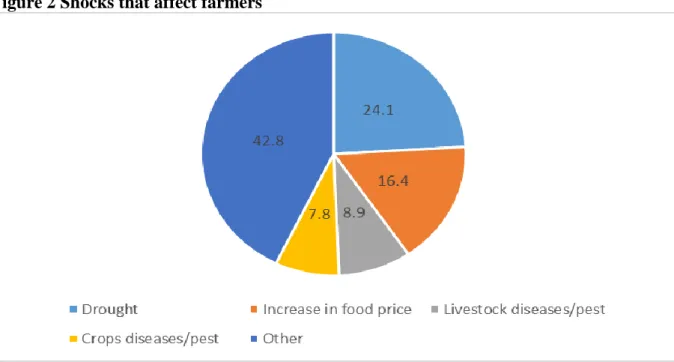 Figure 2 Shocks that affect farmers 