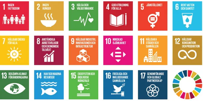 Figur 1: Illustration av de 17 globala målen. Källa: UNDP (2019) 