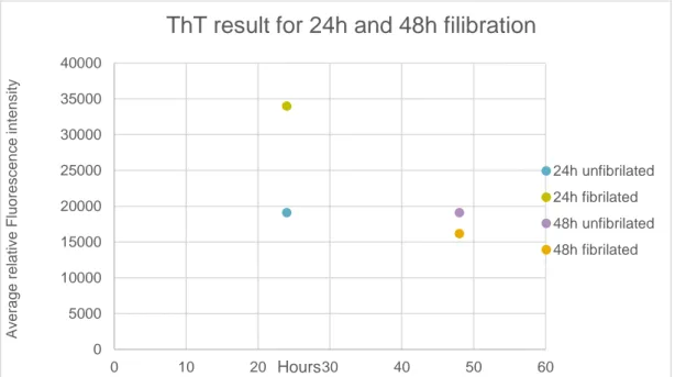 Figure 3: Th-T result for 24h and 48h fibrillation 