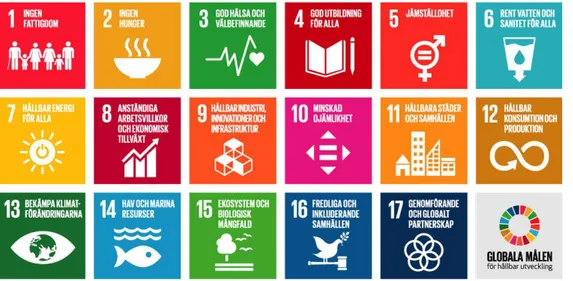 Figur 1 De globala målen i Agenda 2030 (FN, 2013) 