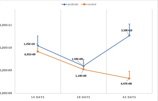 Figure 2. Quantity of LAB in probiotic treated piglets and control piglets at 14, 28 and 42 days of age