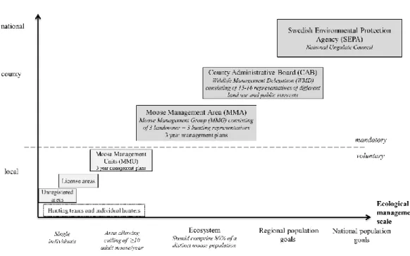 Figur 2. Den nya älgförvaltningens organisatoriska ramverk. Skogsstyrelsen och intresseorganisationerna saknas i  illustrationen