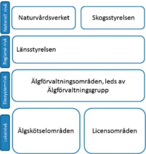 Figur 1. Det organisatoriska ramverket för dagens älgförvaltning Källa: Lindqvist et al