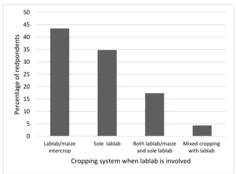 Figure 10 Percent response of cropping system used when  lablab was involved 