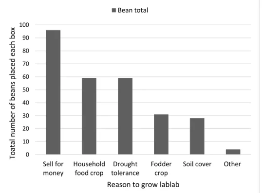 Figure 11 The main reasons for growing lablab identified by respondents by putting beans in a  box in any amount beside the reason given
