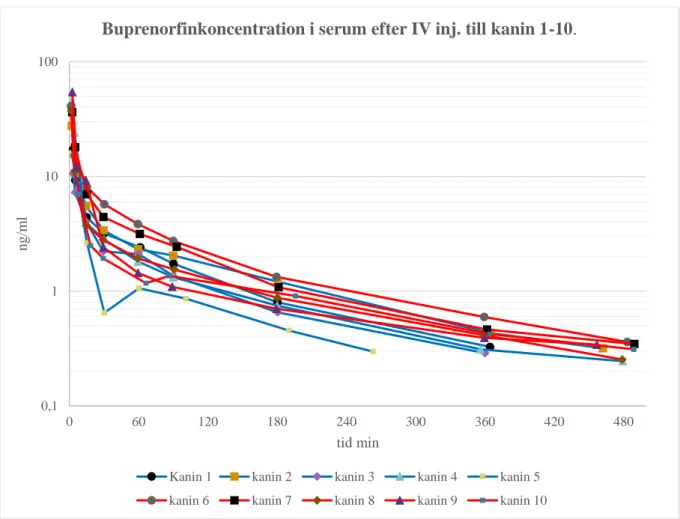 Figur 2. Buprenorfinkoncentrationer i ng/ml i serum efter IV injektion av 0,05 mg buprenorfin