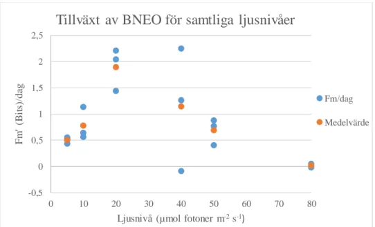 Figur 4. Tillväxt av BNEO för samtliga ljusnivåer. BNEO har haft tillväxt vid samtliga 