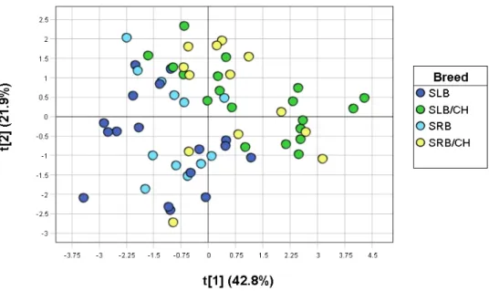 Figure 10 PCA score plot illustrating the correlation among the four breeds in the external spread- spread-sheet from the SKARA dataset