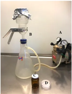 Figure 2. Filtration setup. The vacuum pump (A) was connected to the filtration unit (B), composing 