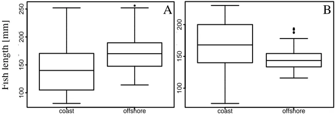 Figure 5. The graphs exhibit the size range of dab (A) and whiting samples (B). The fish length [mm]  was  compared  between  the  two  regions,  coast  (dab:  N=125,  whiting:  N=153)  and  offshore  (dab:  N=80, whiting: N=79)