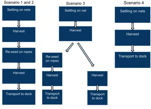 Figure 2.1. Process maps of the different scenarios. 