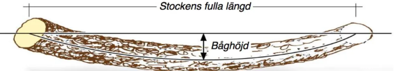 Figur 2. Bestämning av båghöjd för klassificering av långböj (SDC 2007) 