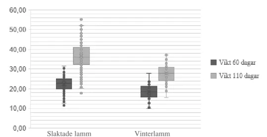 Figur 4. Vikt i kg vid 60 (±10) dagarsålder och 110 (±10) dagarsålder för slaktade lamm respektive  för vinterlamm från sex gotländska gårdar under 2017