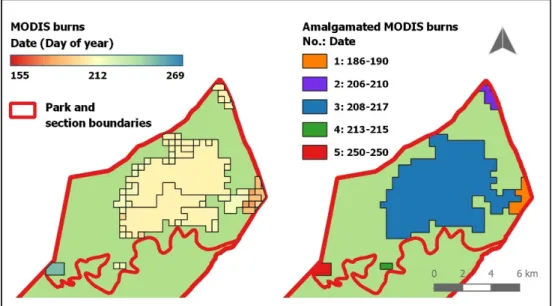 Figure 3. Amalgamation of MODIS polygons in Manzibomvu section during 2014 