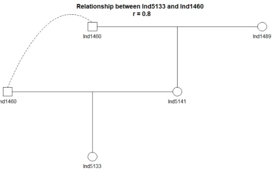 Figure 12 : Isolated pedigree for Ind5133 is a visualization of inbreeding.  