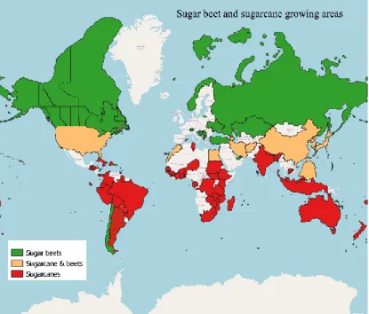 Figure 4: Map showing the countries that export sugar to the EU and whether they  are sugar beet or sugarcane growing regions