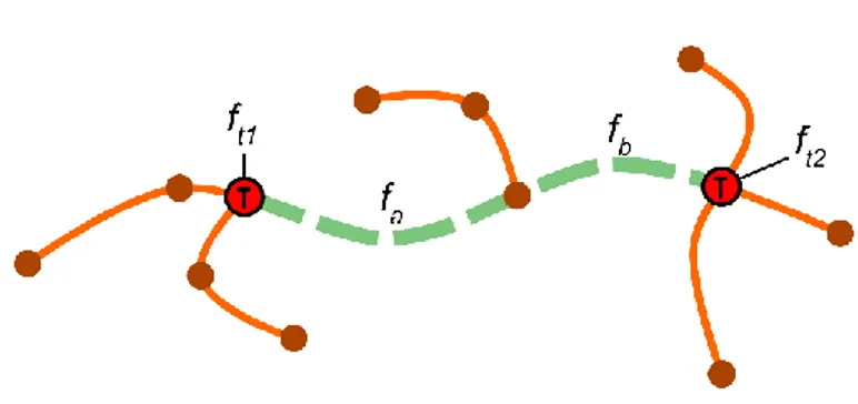 Figure 10. Schematic illustration of the road links in a duplex HCT corridor. The green line symbolizes 