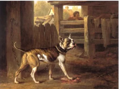 Figur 1. A painting by Philip Reinagle from 1790, showing a Bulldog.  