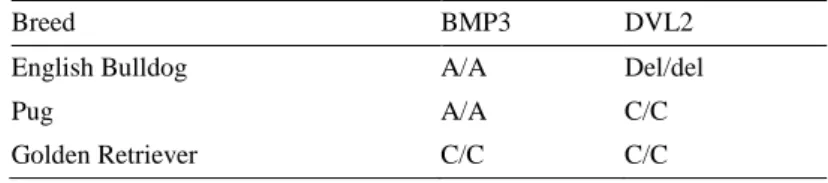 Table 4. Genotypes for BMP3 and DVL2 of three dogs. 