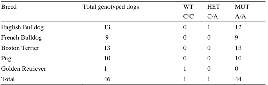 Table 5. BMP3 status variant across breeds 