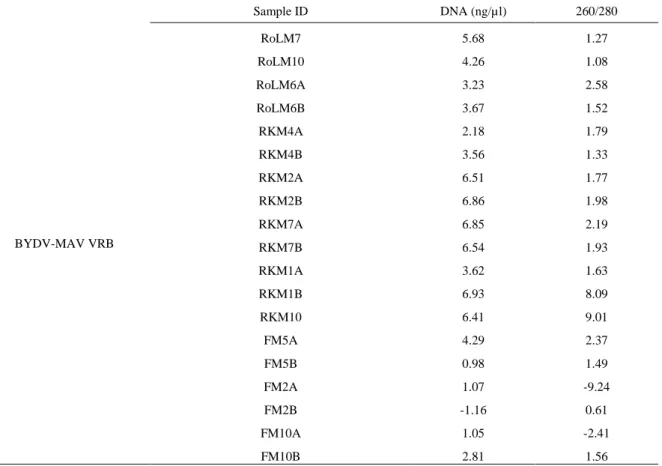 Table 8. Concentration of DNA after RT-PCR from released RNA of BYDV-MAV DAS-ELISA of spring 2017 barley and wheat 