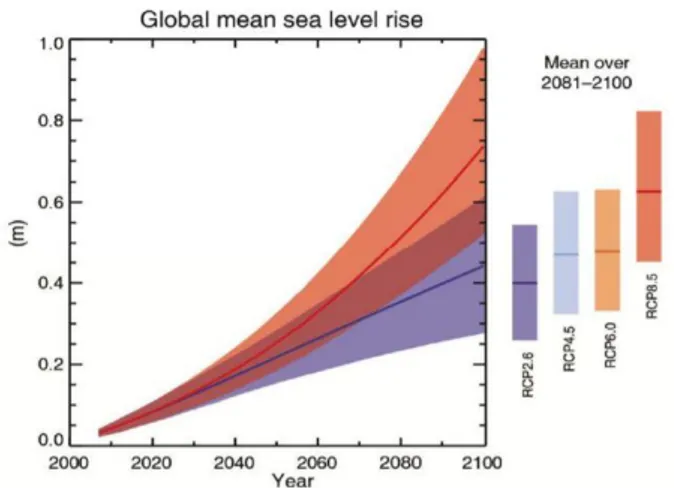 Figur 2: Havsnivåökning vid olika klimatscenarier utförda av IPCC 2013  ( (Byggnadsnämnden 2018) 